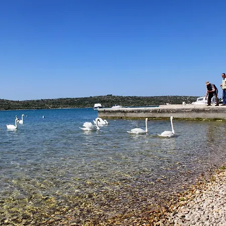 Guest house By The Sea 14395 Pirovac